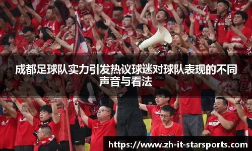 成都足球队实力引发热议球迷对球队表现的不同声音与看法